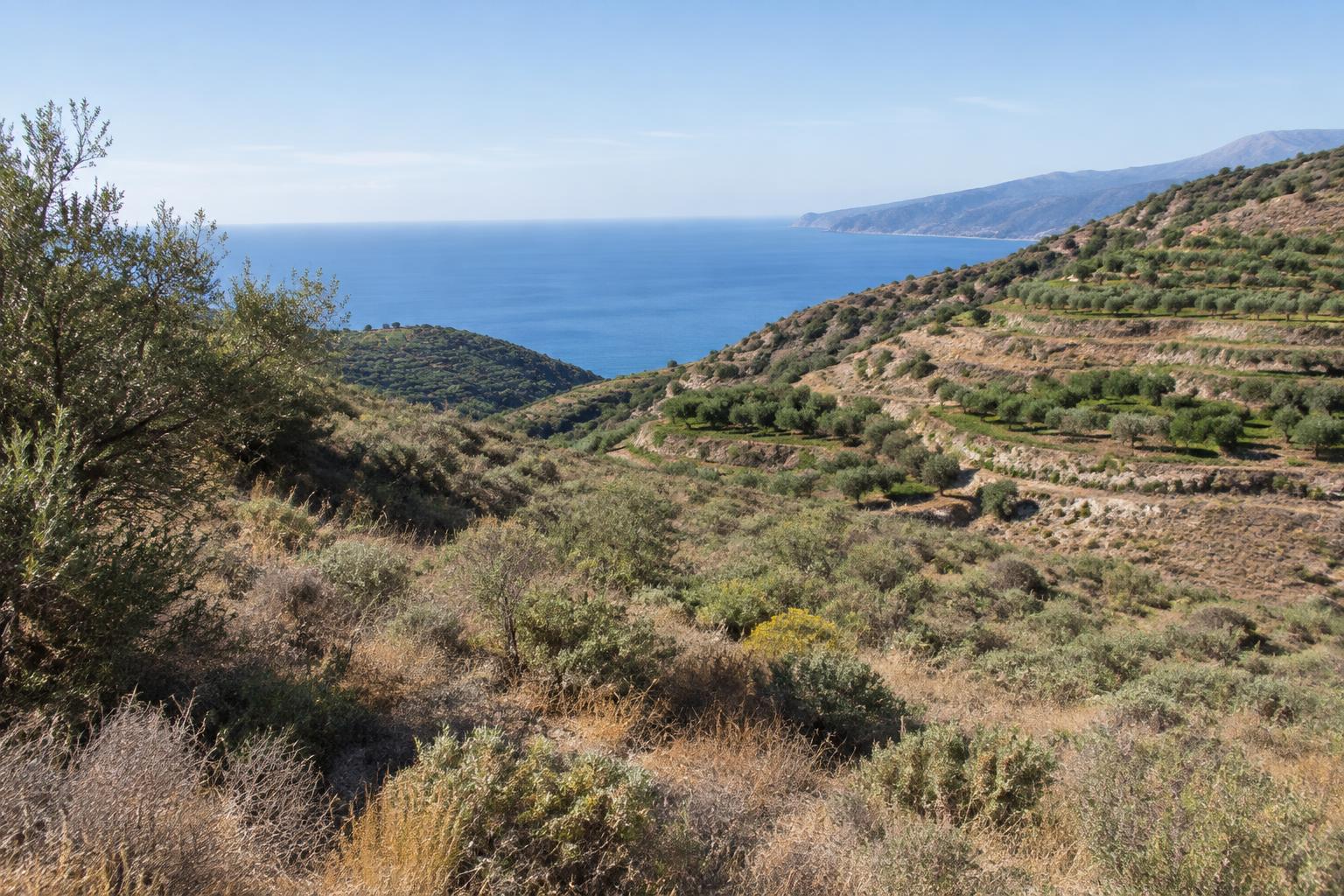 Ländliche Hänge mit Buschland und Meerblick an der südspanischen Küste (Symbolbild, keine konkrete Auktionsparzelle)